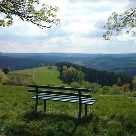 Hellaberg Iv Am Waldrand Mit Sauna & Grosser Terrasse * Langenbach (Thuringia)